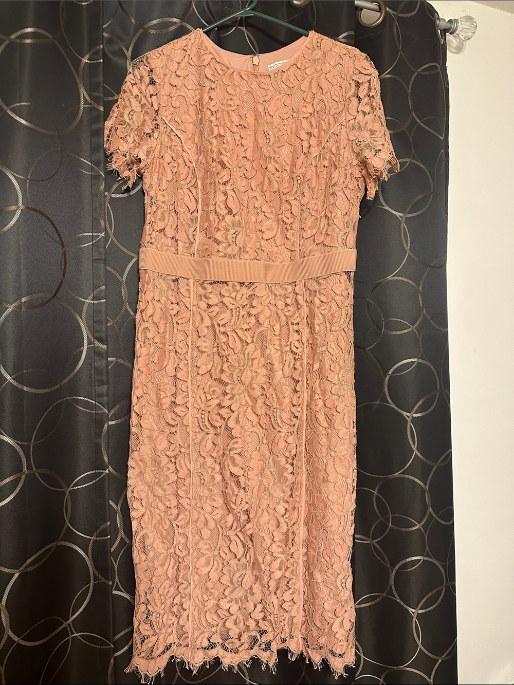 Eva Mendes Lace Sheath Dress in Blush Pink - Elegant Short Sleeve